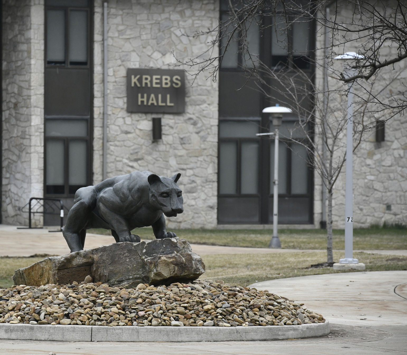 UPJ Mountain Cat statue
